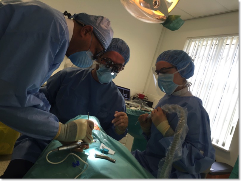  image implant surgery participant